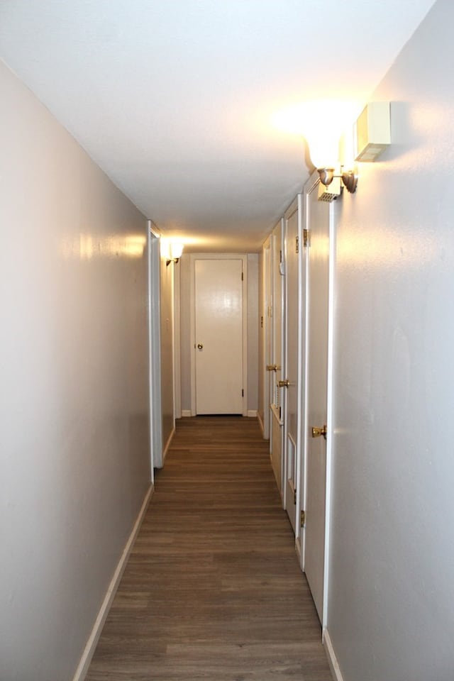 hallway with dark hardwood / wood-style floors