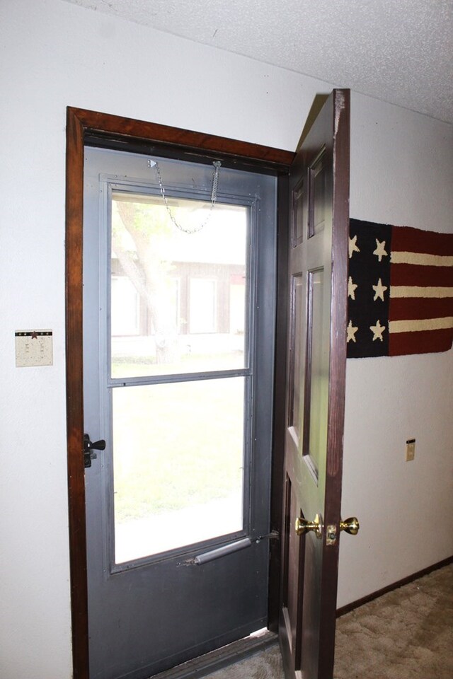 entryway with carpet flooring, plenty of natural light, and a textured ceiling