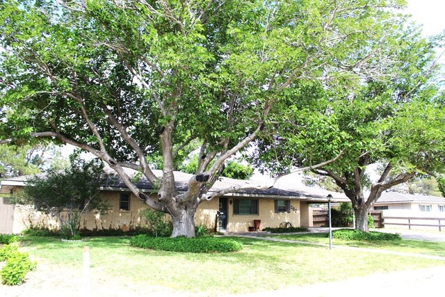 ranch-style house with a front yard