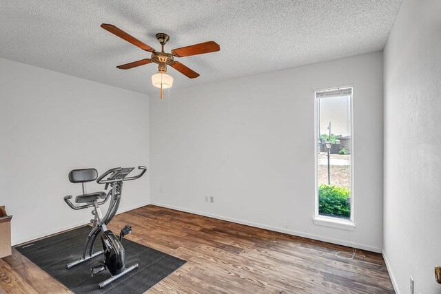 3501 44th St, Snyder, TX 79549 - photo 16