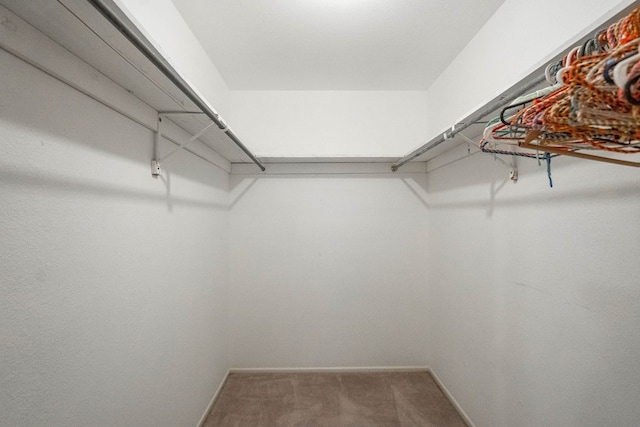 walk in closet with carpet