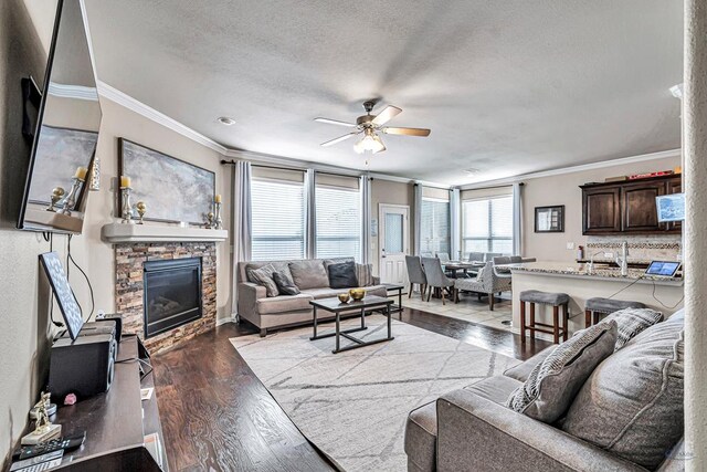 5700 San Miguel Ave, Midland, TX 79705 - living area featuring crown molding, a ceiling fan, wood finished floors, a textured ceiling, and a fireplace