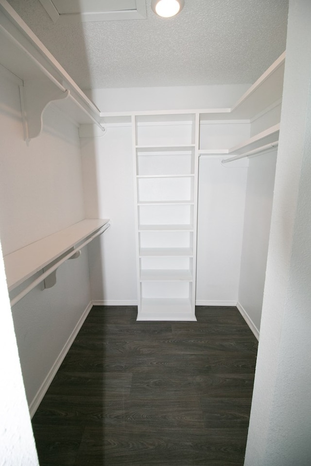 walk in closet with dark hardwood / wood-style flooring