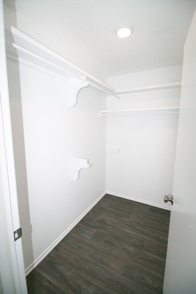 spacious closet featuring dark hardwood / wood-style floors