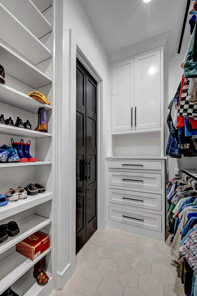 view of spacious closet