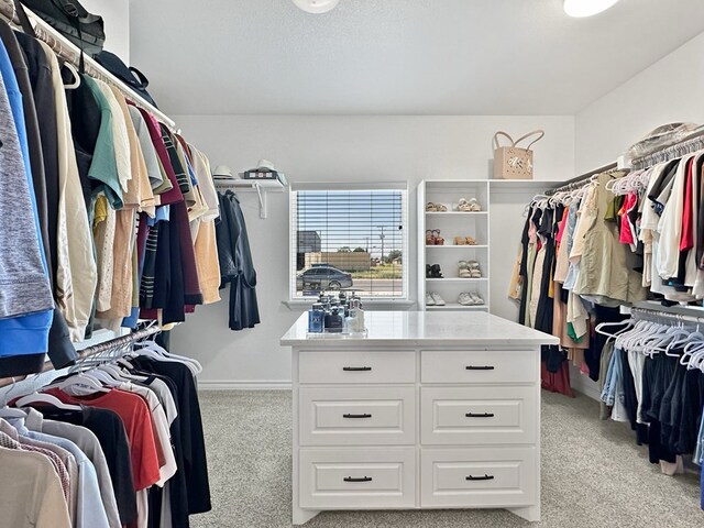 spacious closet with light carpet