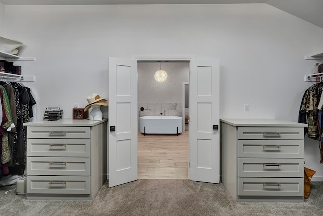 walk in closet with light carpet