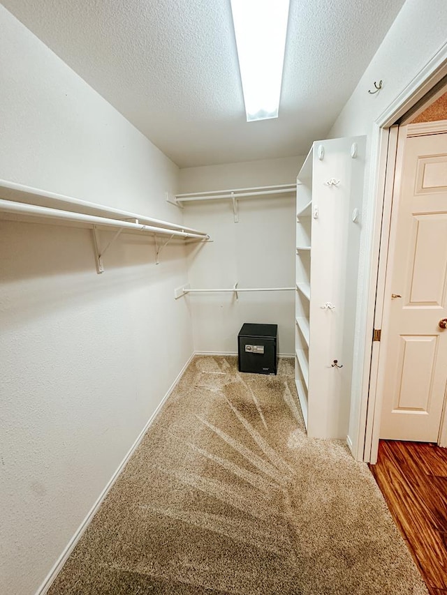 walk in closet with carpet flooring