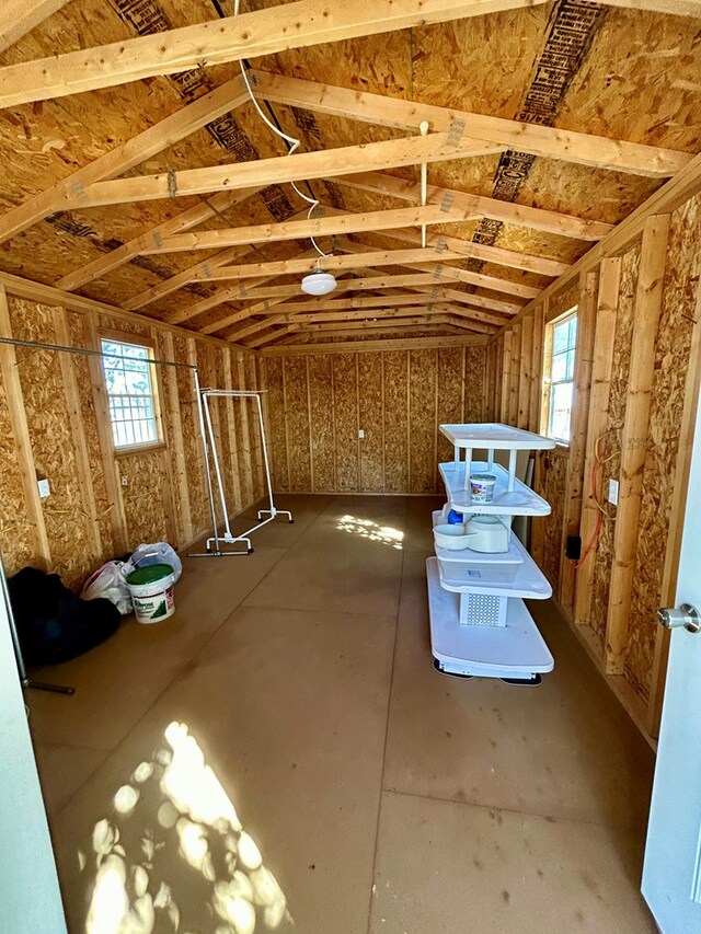 unfinished attic with a wealth of natural light