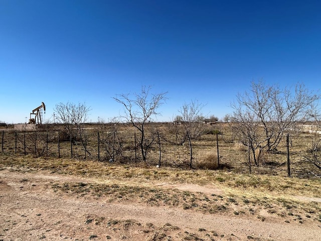 view of yard with a rural view