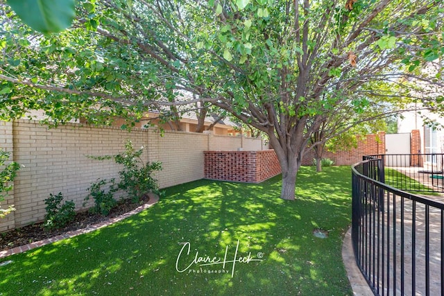 view of yard featuring a fenced backyard