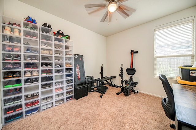 office space featuring carpet and ceiling fan