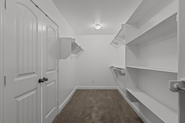 1306 Randolph Ln, Midland, TX 79705 - walk in closet with carpet