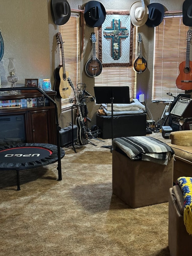 1427 County Rd 132, Snyder, TX 79549 - photo 17