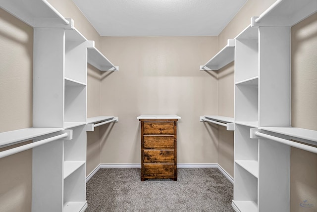 spacious closet with carpet