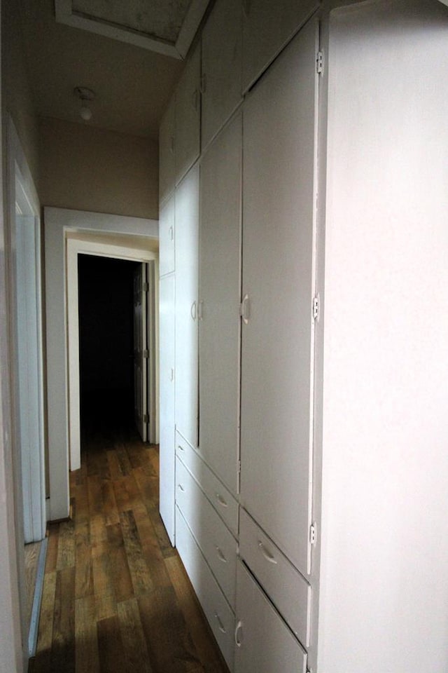 hallway featuring dark hardwood / wood-style flooring