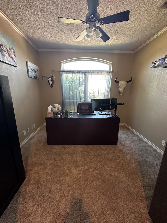 office space featuring carpet floors, a textured ceiling, and ornamental molding