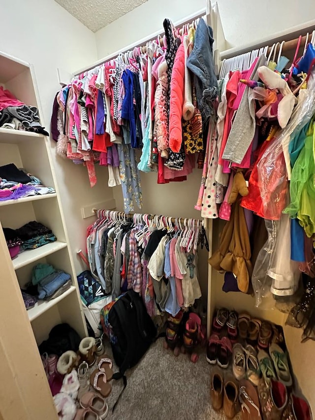 spacious closet with carpet floors