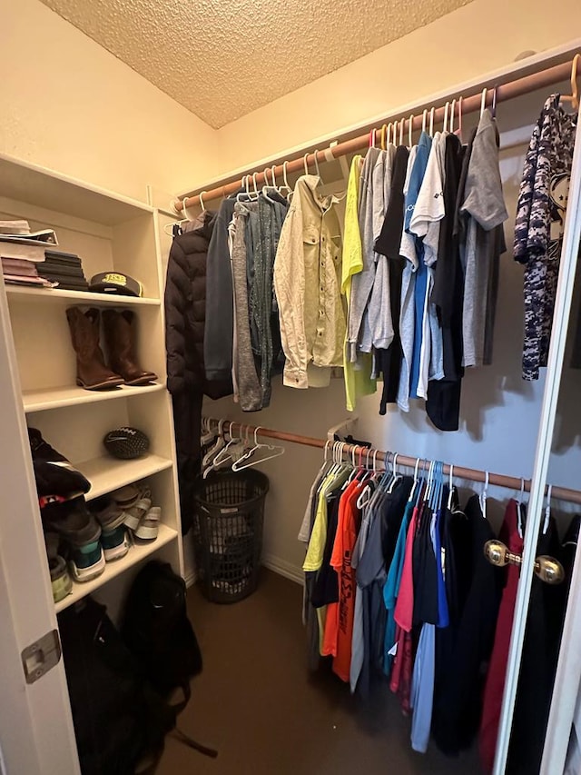 view of spacious closet