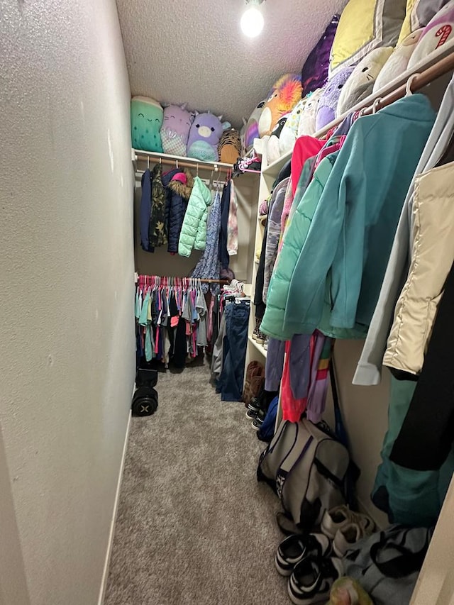 walk in closet featuring carpet floors