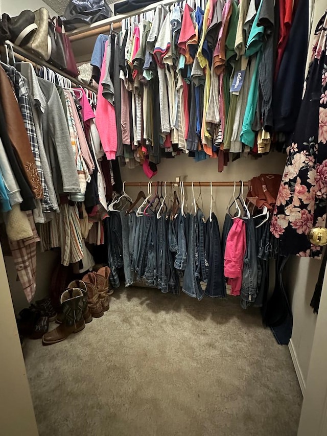 view of spacious closet