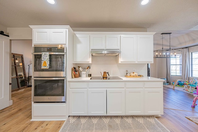 kitchen featuring stainless steel double oven, a barn door, and white cabinets