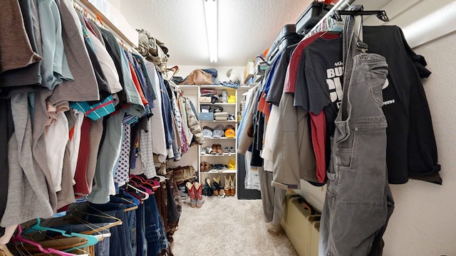 walk in closet with light colored carpet