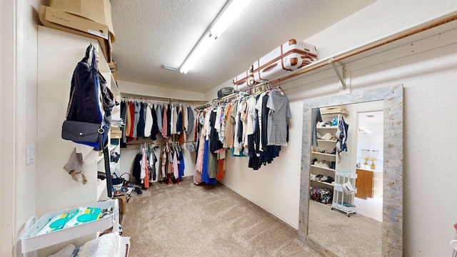 walk in closet with carpet floors