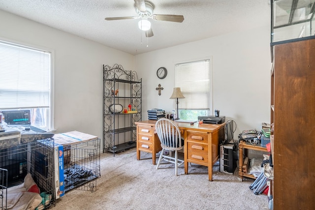504 Storey Ave, Midland, TX 79701 - photo 7