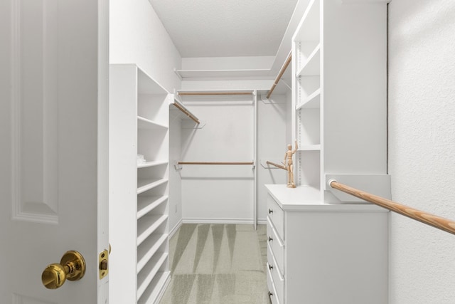 walk in closet with light carpet