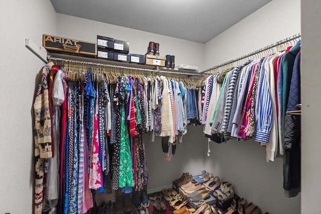 view of spacious closet