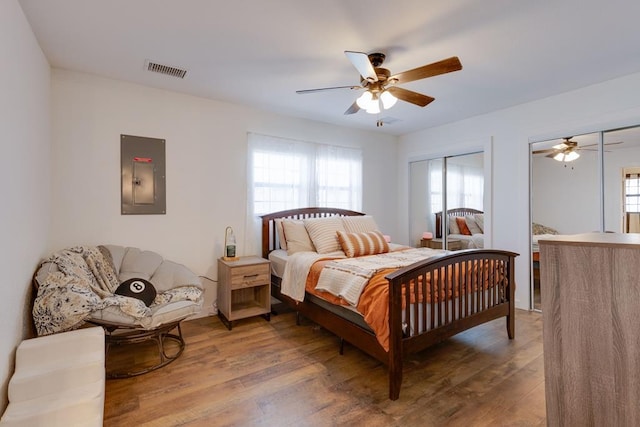 bedroom featuring hardwood / wood-style floors, two closets, electric panel, and ceiling fan