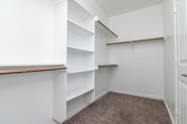 spacious closet with carpet