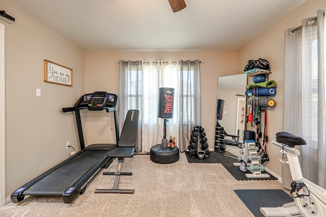 workout area featuring carpet flooring