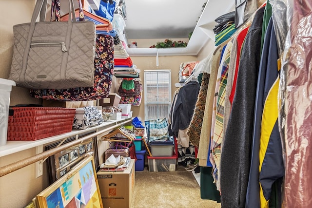 walk in closet with carpet