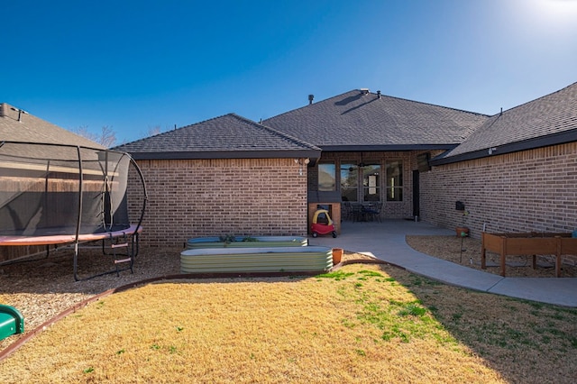 rear view of house with a patio area, a trampoline, a lawn, and brick siding