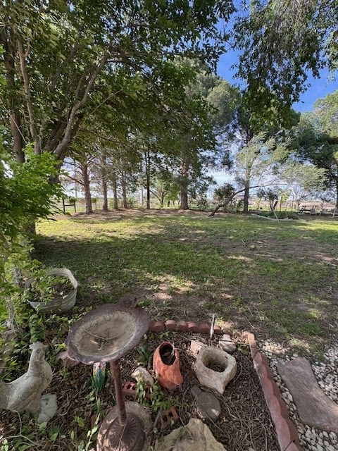 5038 N Sullivan Rd, Fort Stockton, TX 79735 - view of yard