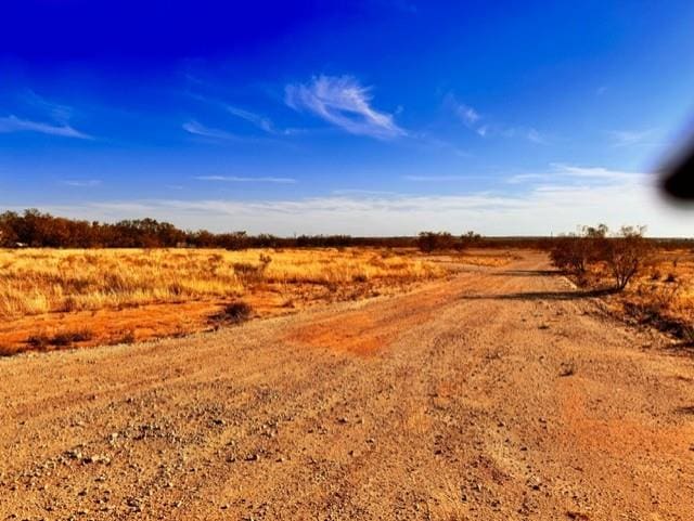 TBD Fm 461, Big Spring TX, 79720 land for sale