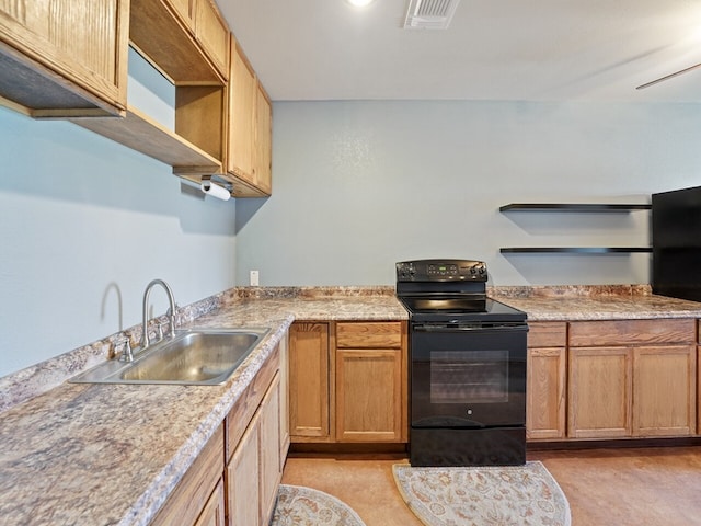 kitchen with sink and black / electric stove