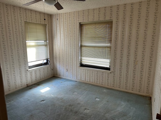 spare room featuring ceiling fan, carpet, and a textured ceiling