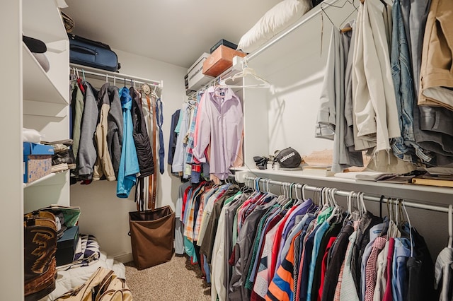 spacious closet with carpet floors