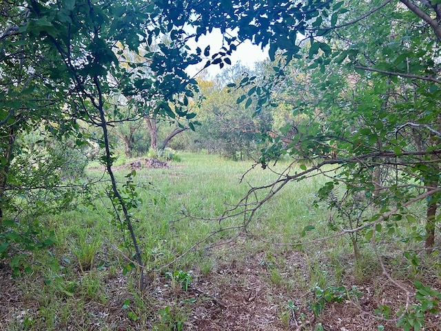 0 1st Unit 1St, Loraine, TX 79532 - photo 11
