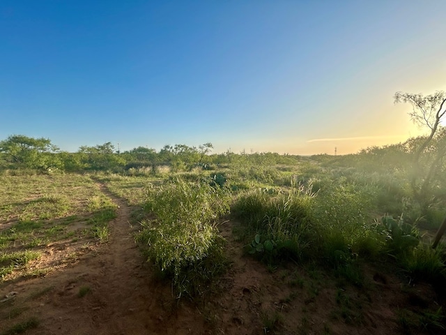 0 1st Unit 1St, Loraine, TX 79532 - photo 21