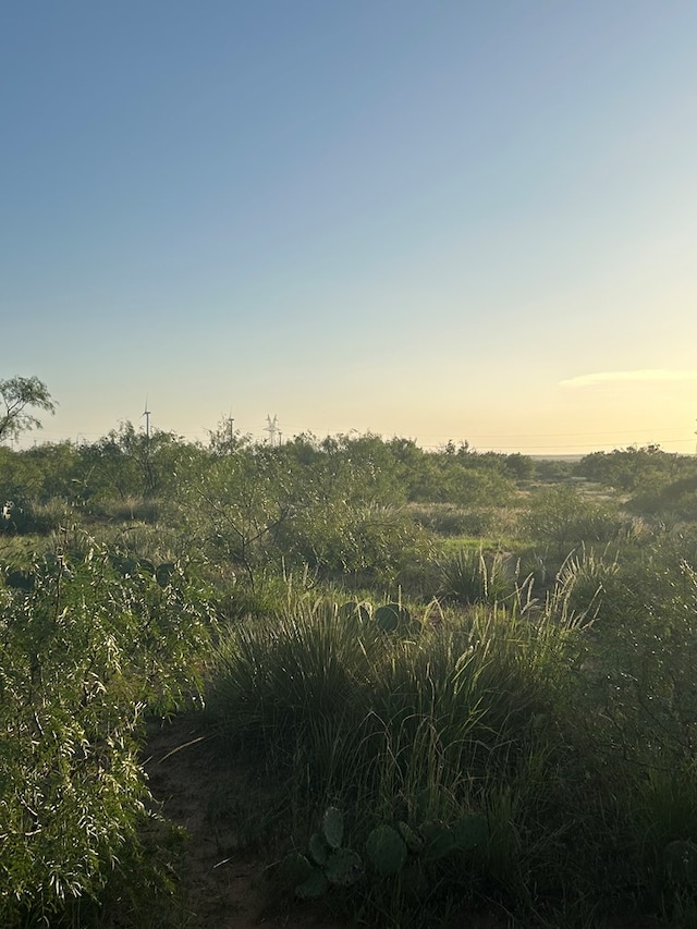 0 1st Unit 1St, Loraine, TX 79532 - photo 23