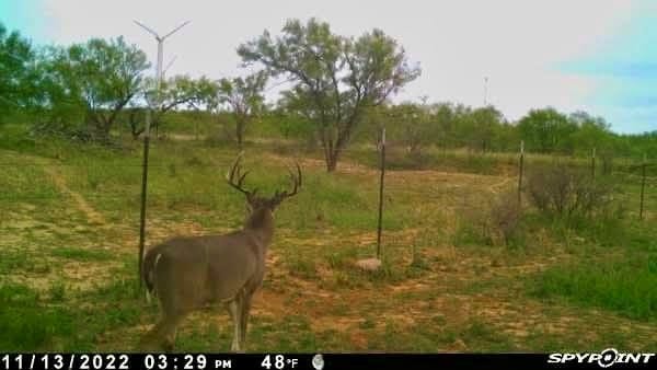 0 1st Unit 1St, Loraine, TX 79532 - photo 33