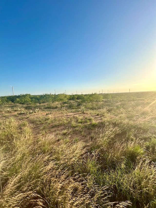 0 1st Unit 1St, Loraine, TX 79532 - photo 28