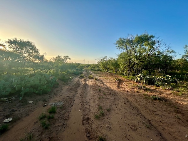 0 1st Unit 1St, Loraine, TX 79532 - photo 6