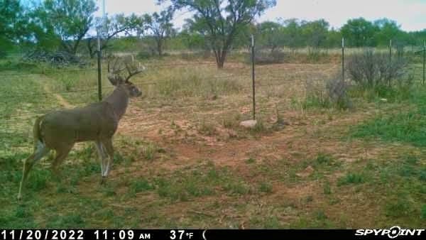 0 1st Unit 1St, Loraine, TX 79532 - photo 32