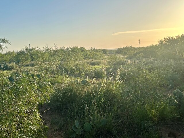 0 1st Unit 1St, Loraine, TX 79532 - photo 22