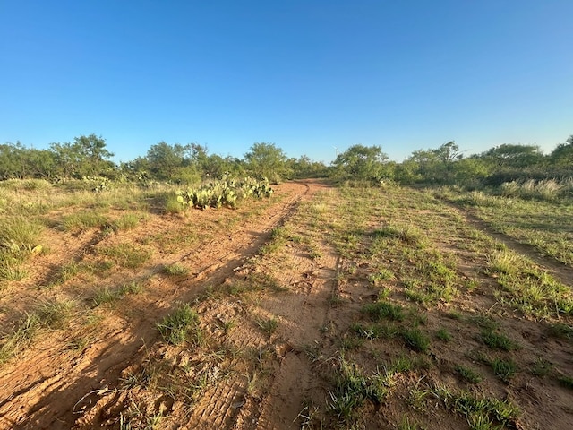 0 1st Unit 1St, Loraine, TX 79532 - photo 16